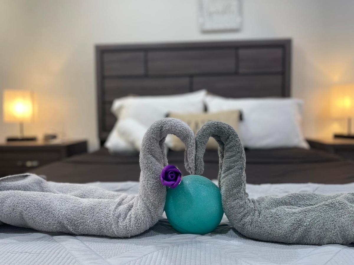 Modern Santorini Suite Houston Nrg Tmc Luxurious Walkable 외부 사진